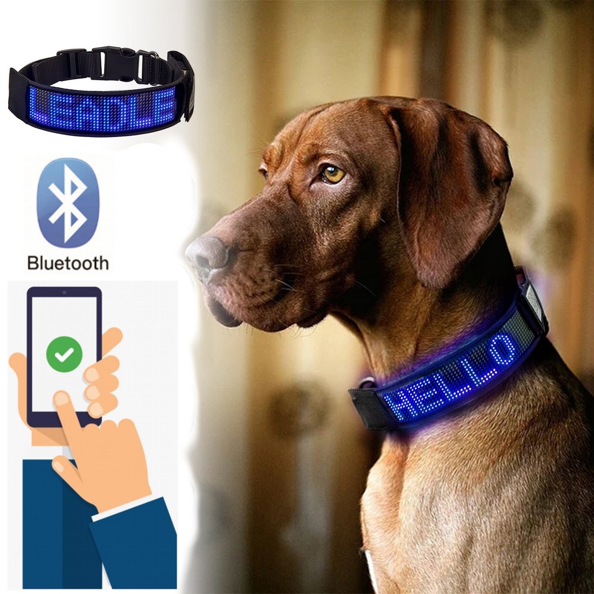 Obojek pro psa LED světelný - jednobarevný s ovládáním přes bluetooth na mobilu