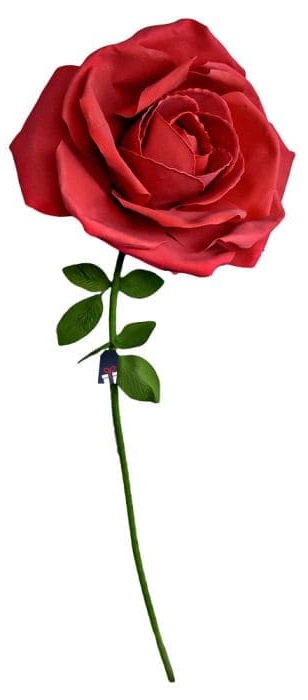 Růže dar pro ženu - XXL obrovská růže