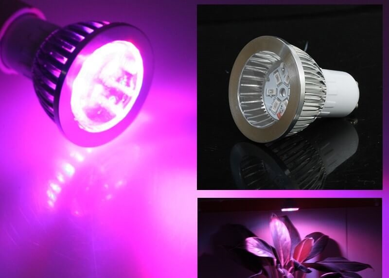 LED žárovka - osvětlení pro rostliny 7W