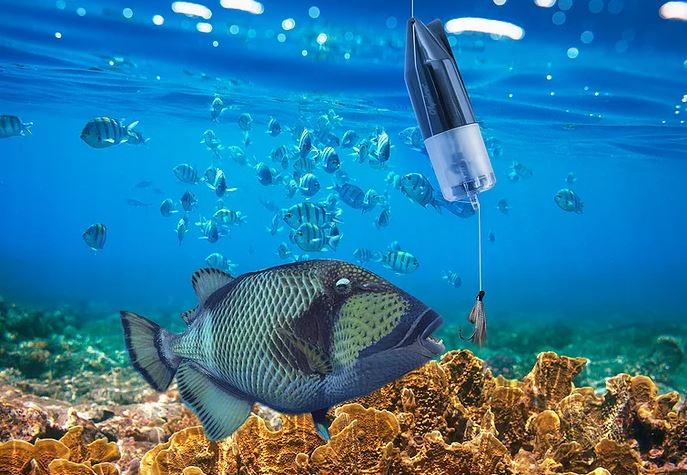 podvodní kamera na ryby